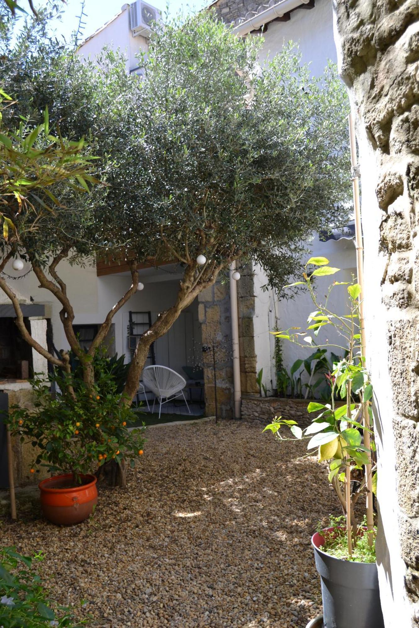 La Cachette Bed & Breakfast Aigues-Vives  Bagian luar foto